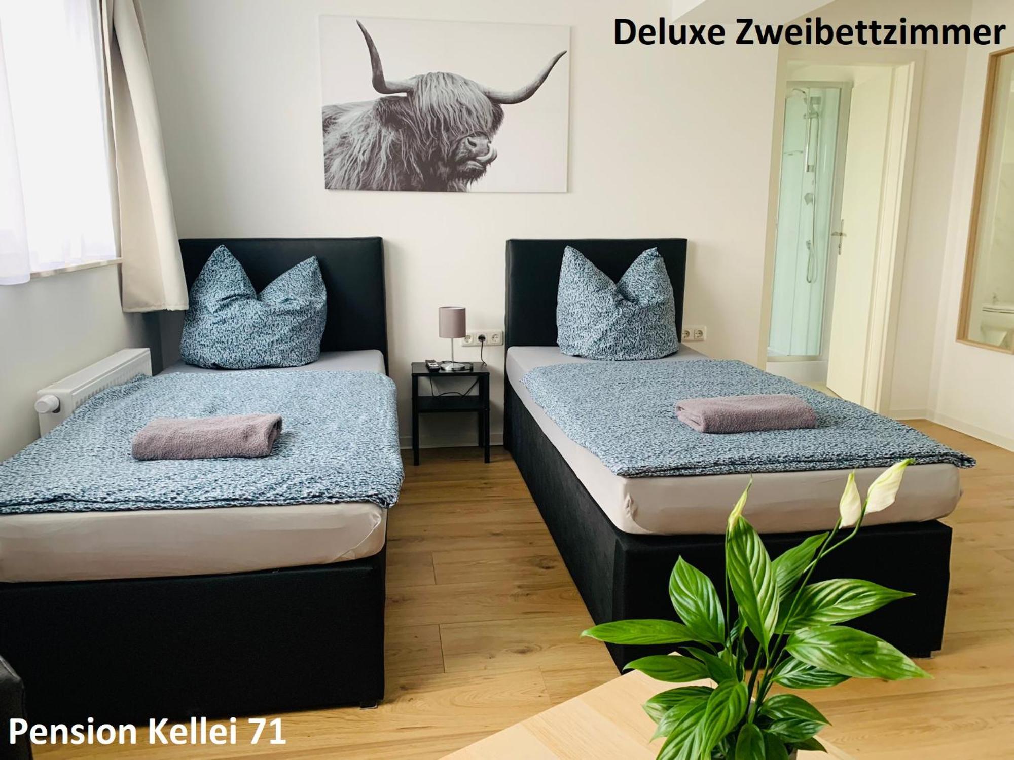 Pension Kellei 71 Дрезден Екстер'єр фото