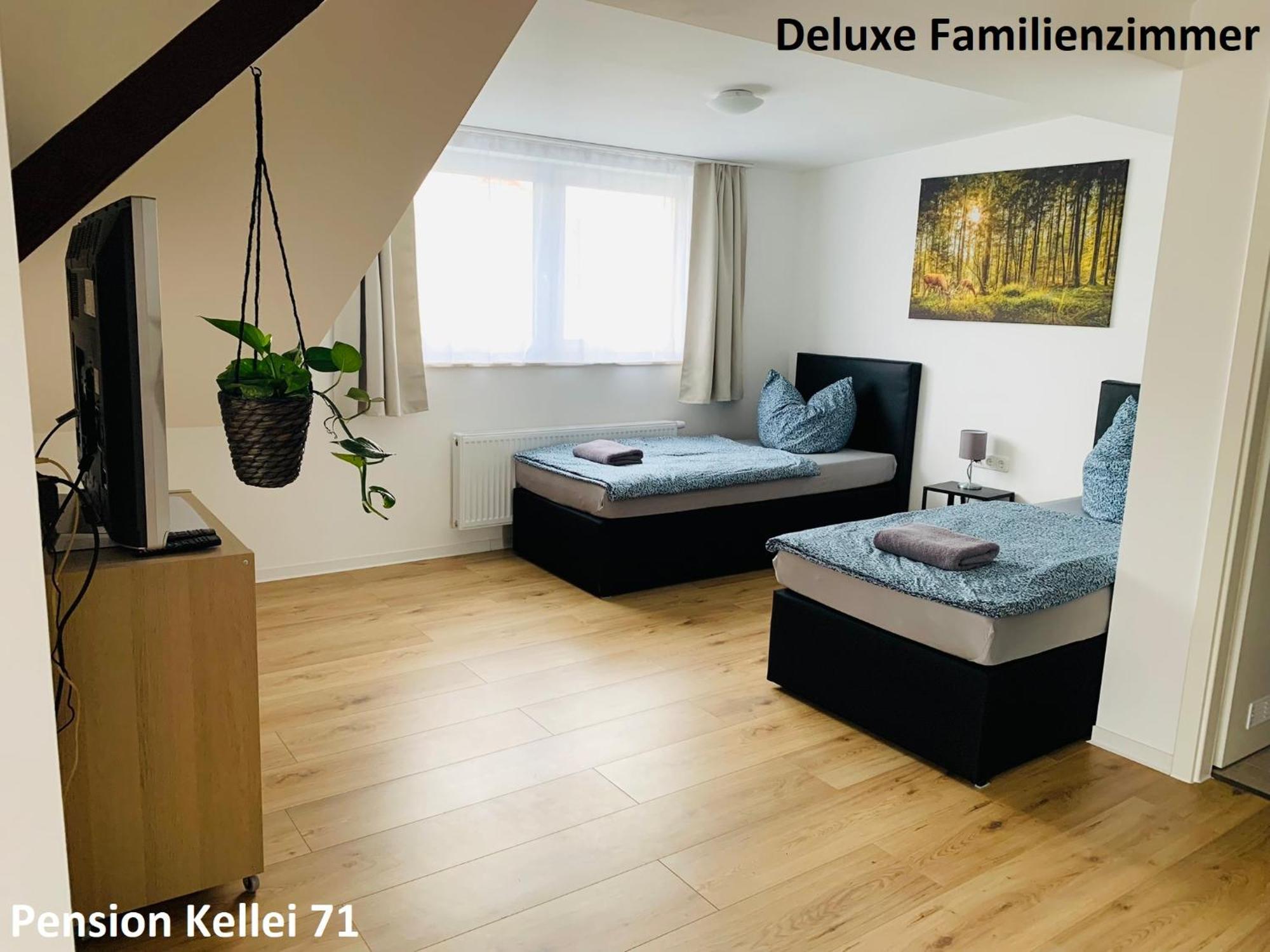 Pension Kellei 71 Дрезден Екстер'єр фото